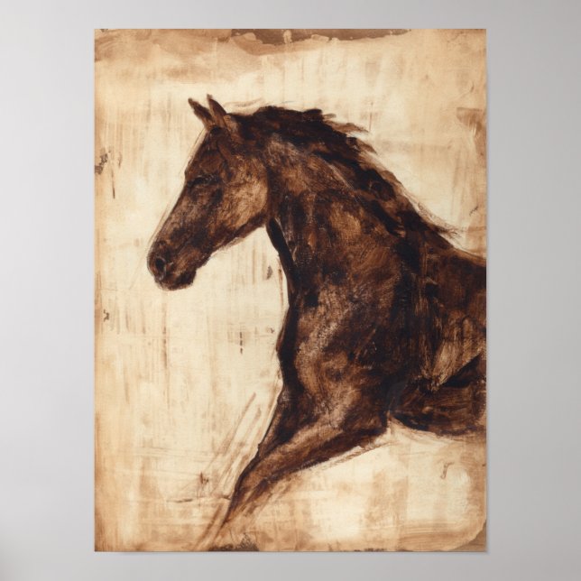 Poster Profil du cheval sauvage Brown (Devant)