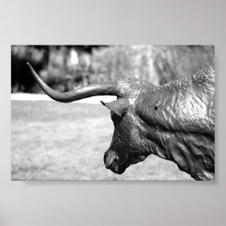 Poster Profil Longhorn