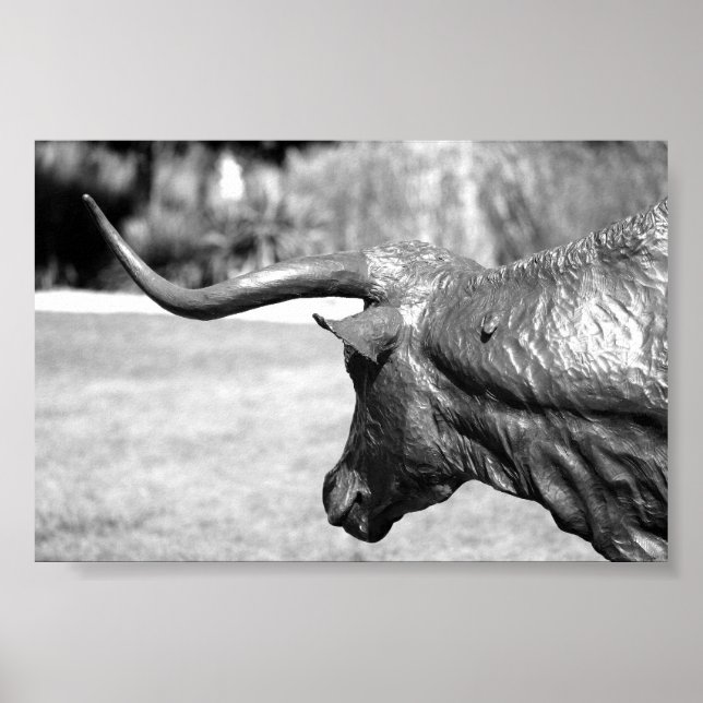 Poster Profil Longhorn (Devant)