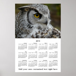 Poster Profil OWL de l'affiche murale 2013 Photo Calendri