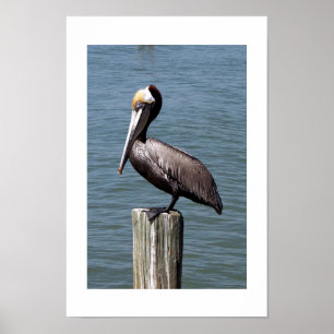 Poster Profondes dans la pensée