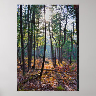 Poster Projecteur sur un tronçon
