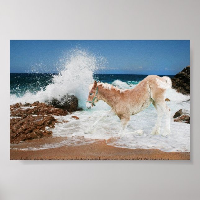 Poster Projet De La Mer (Devant)