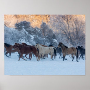 Poster Promenade à cheval en hiver sur Hideout Ranch