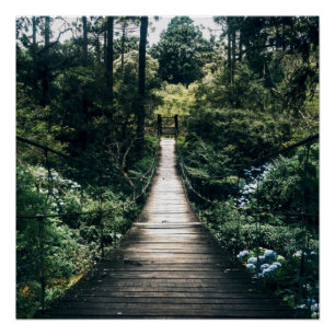 Poster Promenade À Travers La Forêt