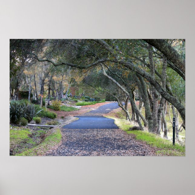 Poster "Promenade d'automne" (Devant)