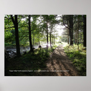 Poster Promenade près de la vallée Rivière-Heureuse, l