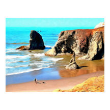 Promenade sur la plage avec un chien à Face Rock P