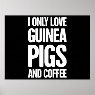 Poster Propriétaire du porc de Guinée