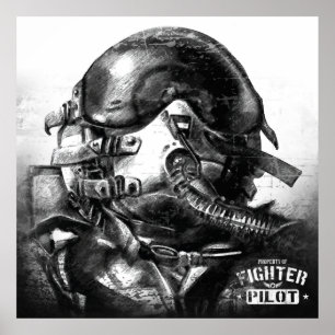 Poster Propriété Du Pilote De Combat