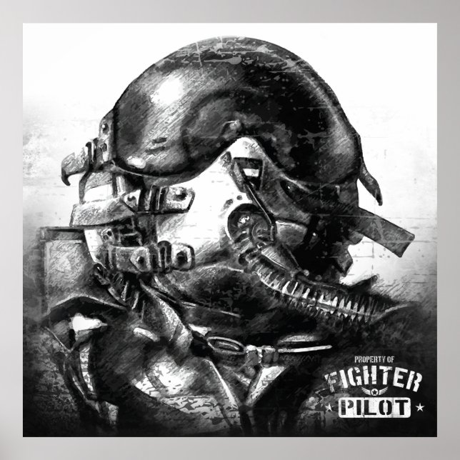Poster Propriété Du Pilote De Combat (Devant)
