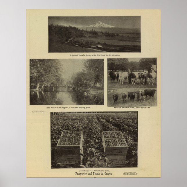 Poster Prospérité, abondance en Oregon (Devant)
