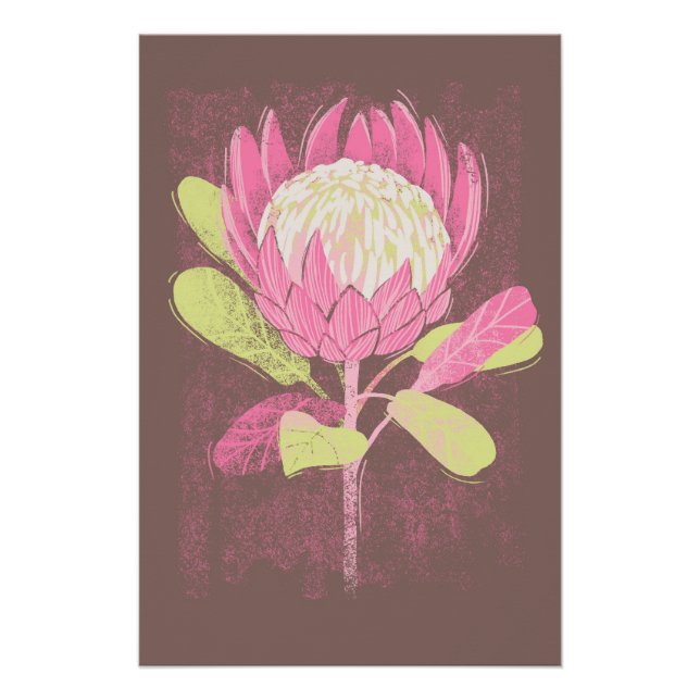 Poster Protea (Devant)