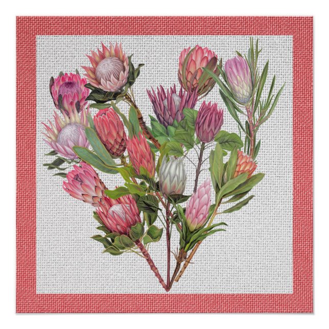 Poster Protea (Devant)