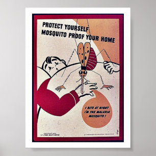 Poster Protect Yourself Mosquito Proof Your Home