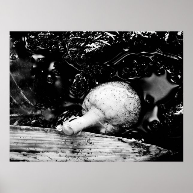 Poster protecteur sombre (Devant)