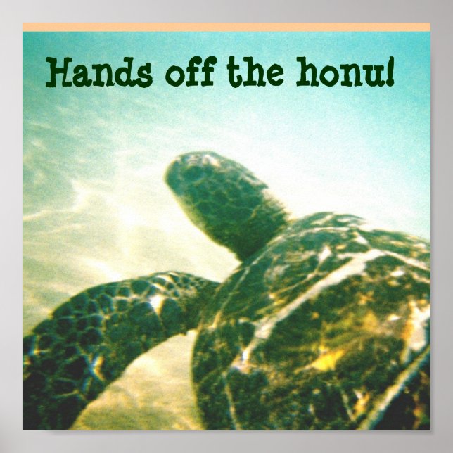 Poster Protection contre les tortues de mer d'Hawaii (Devant)