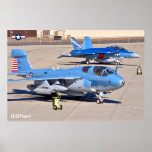 POSTER PROWLER EA-6B