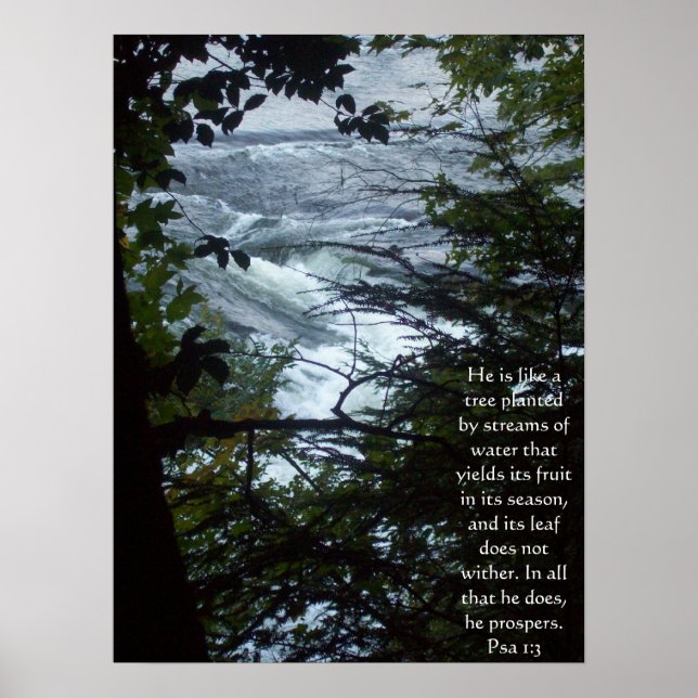 Poster Psaume 1:3 (Devant)