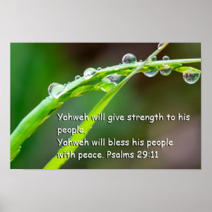 Poster Psaume 29:11