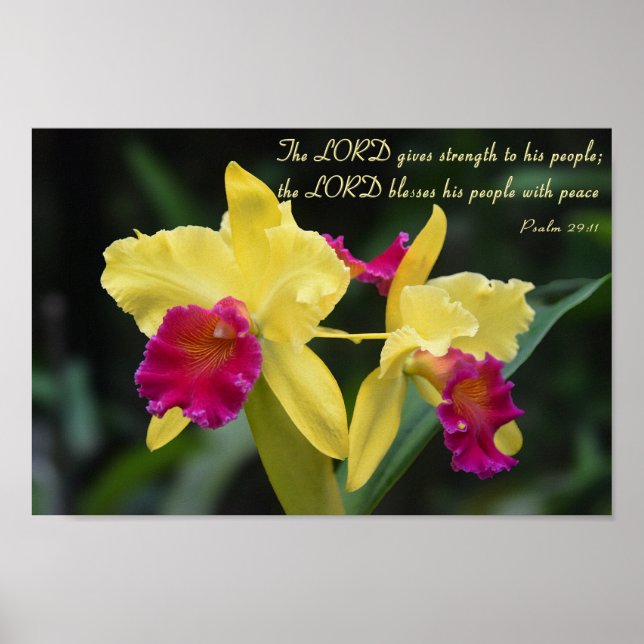 Poster Psaume 29:11 Bible chrétienne Verse Écriture (Devant)