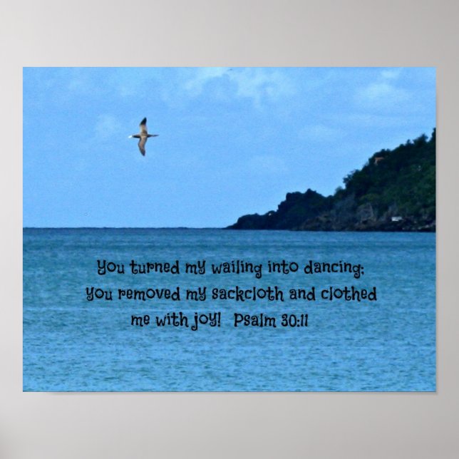 Poster Psaume 30:11 (Devant)