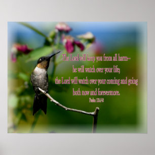 Poster Psaume de colibri 121:7-8