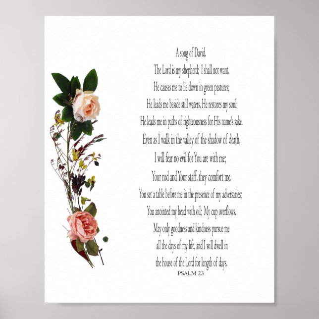 Poster Psaume, Fleur Rose, Papier d'affiche de valeur (Ma (Devant)