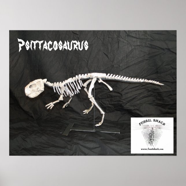 Poster Psittacosaurus Squelette (Devant)