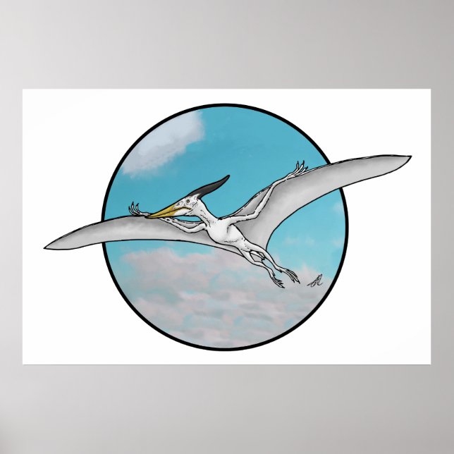 Poster Pteranodon (Devant)
