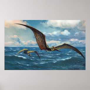 Poster Pteranodon Antique Print