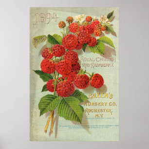 Poster Publicité de Green’s Nursery Co.
