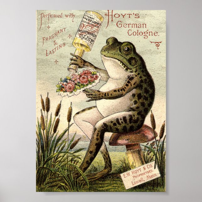 Poster Publicité grenouille de l'ère victorienne sur cham (Devant)