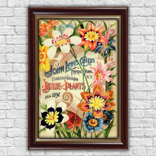 Poster Publicité pour les bulbes de fleurs de Floral Park