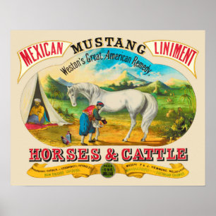Poster Publicité sur les liens de Mustang
