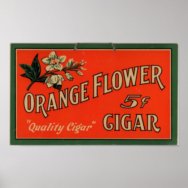 Poster Publicité vintage de cigar : Fleur orange (Devant)