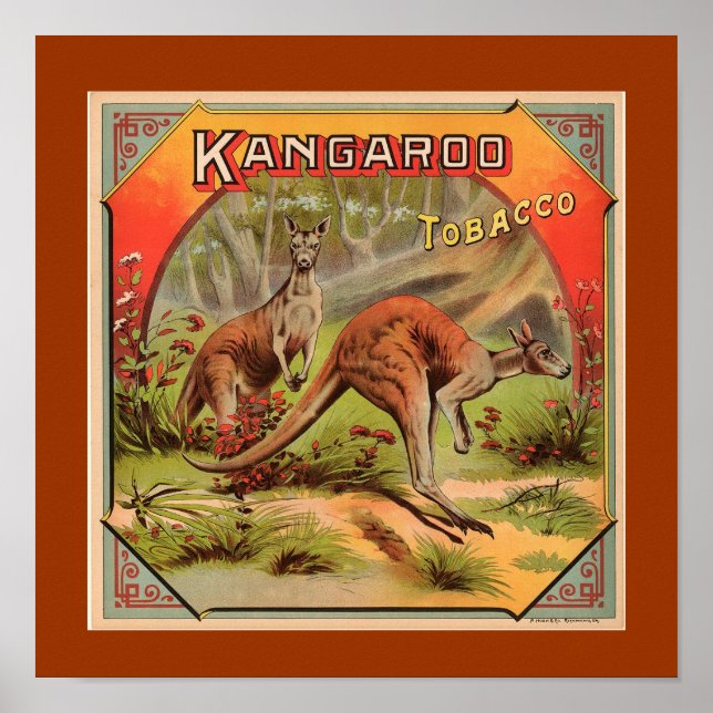 Poster Publicité vintage Kangaroo (Devant)