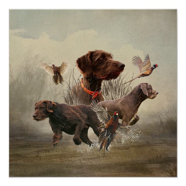 Poster Pudelpointers, Chasse faisan (Devant)