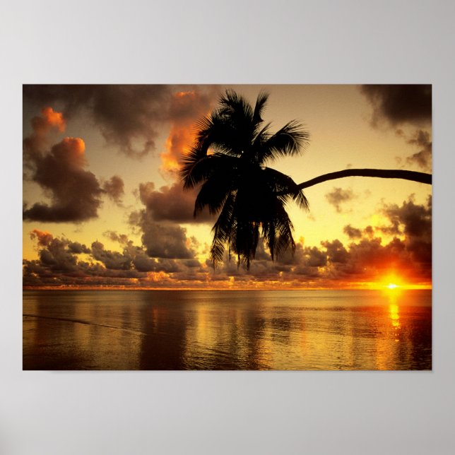 Poster Puerto Vallarta (Devant)