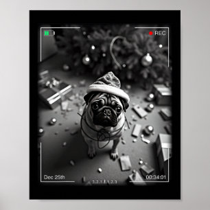 Poster Pug de Noël pris en caméra
