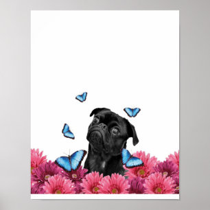 Poster Pug Gerbera Butterflies   Cute Black Dog