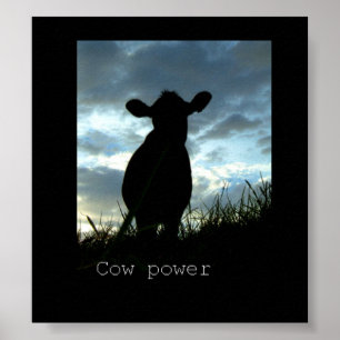 Poster puissance de vache