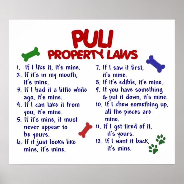 POSTER PULI PL2 (Devant)