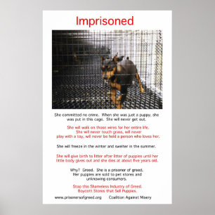 Poster Puppy Mills brasse l'affiche Misery