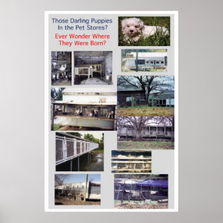 Poster Puppy Mills brasse l'affiche Misery