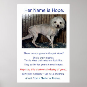 Poster Puppy Mills brasse l'affiche Misery