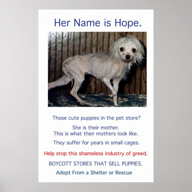 Poster Puppy Mills brasse l'affiche Misery (Devant)