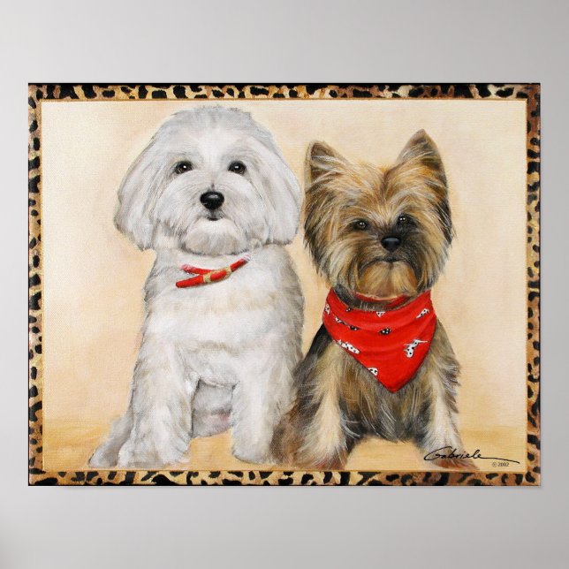 Poster Pups maltais et yorkie (Devant)
