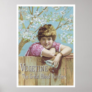 Poster Purificateur de sang végétalien