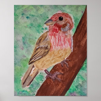 Poster Purple Finch 